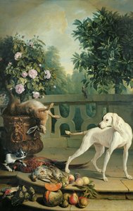 Animals, Flowers and Fruits